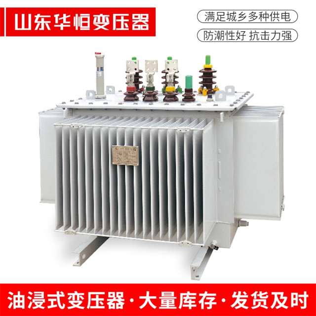 S13-10000/35剑河剑河剑河电力变压器